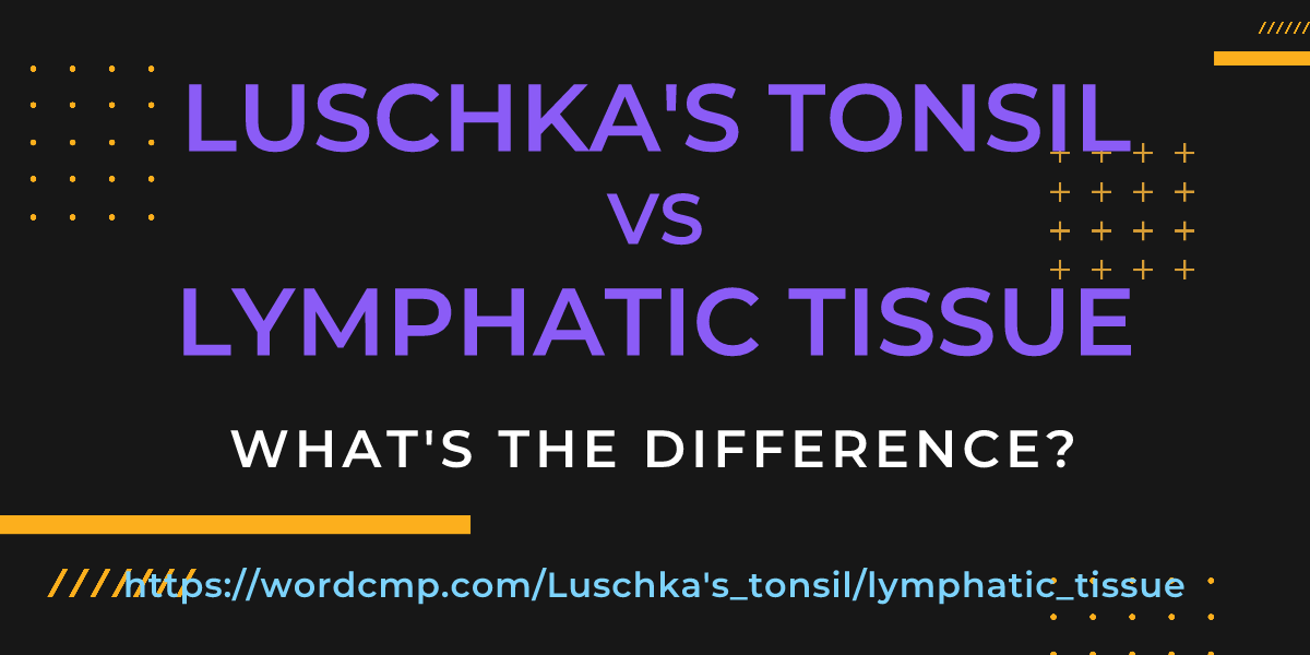 Difference between Luschka's tonsil and lymphatic tissue