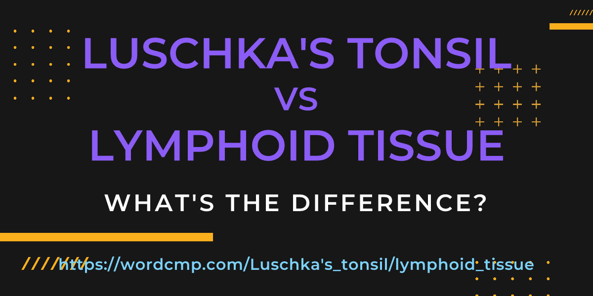 Difference between Luschka's tonsil and lymphoid tissue