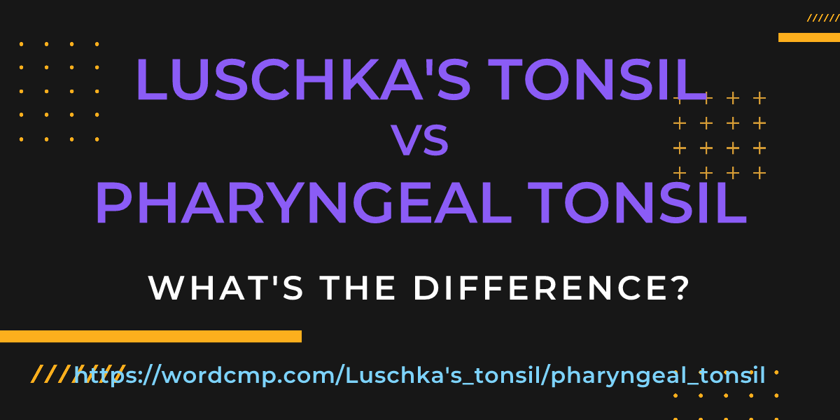 Difference between Luschka's tonsil and pharyngeal tonsil