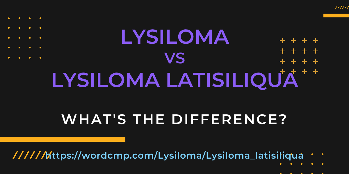 Difference between Lysiloma and Lysiloma latisiliqua