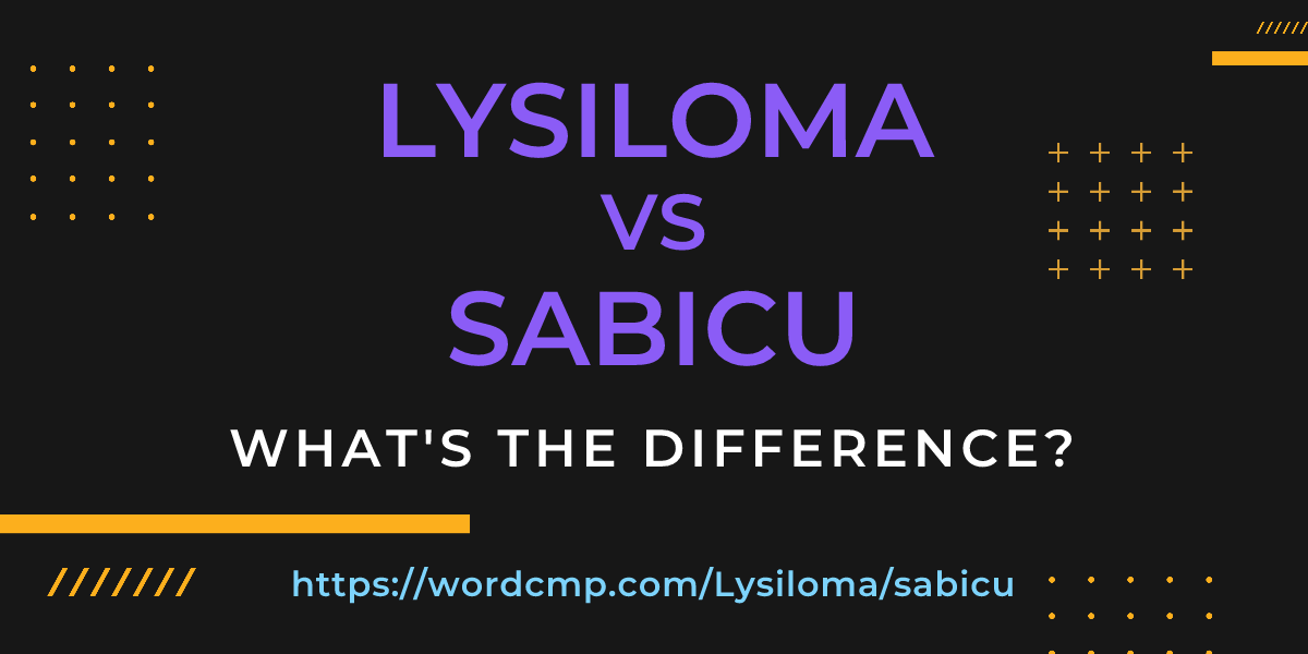 Difference between Lysiloma and sabicu