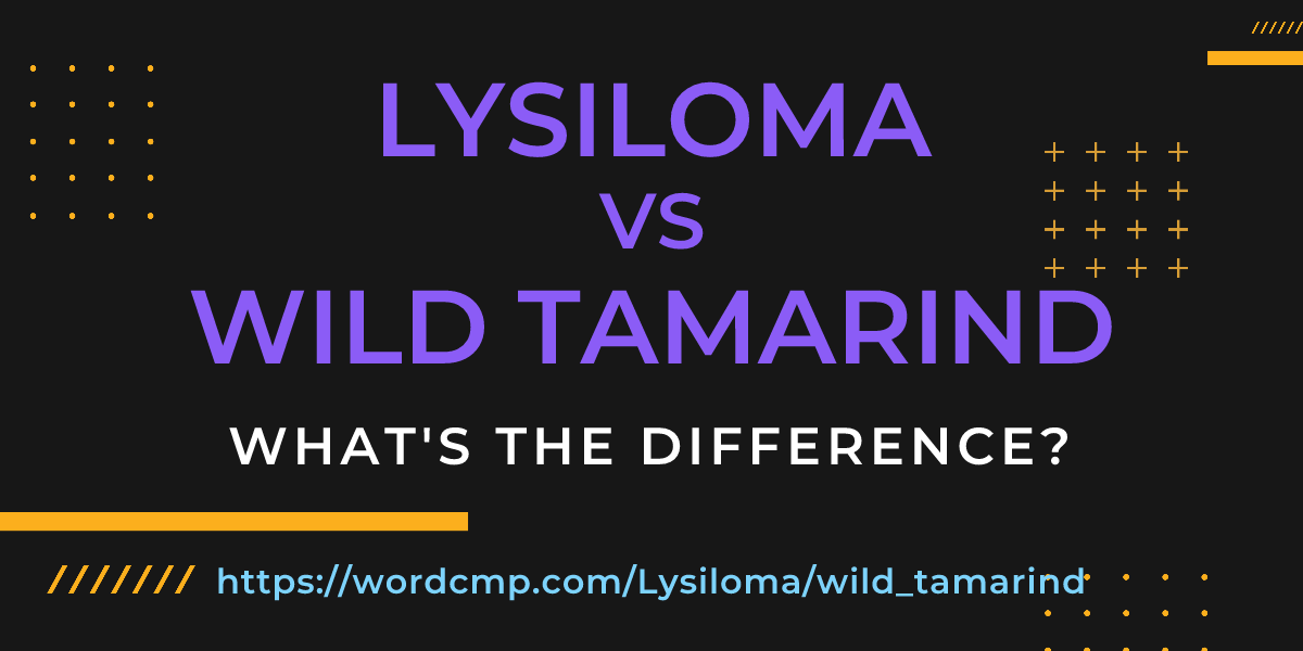 Difference between Lysiloma and wild tamarind