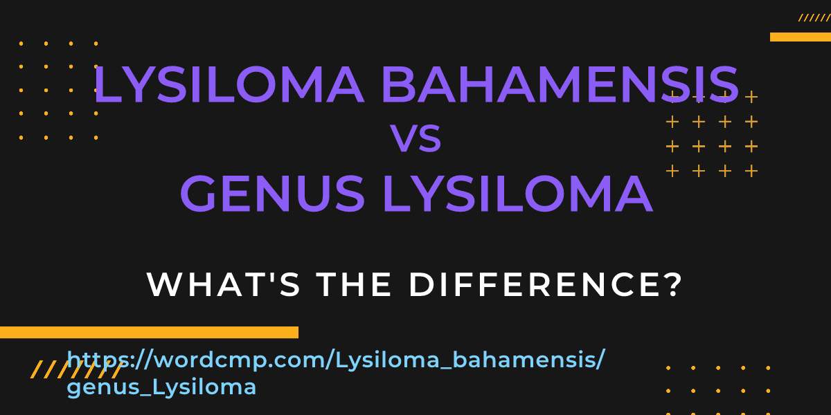 Difference between Lysiloma bahamensis and genus Lysiloma