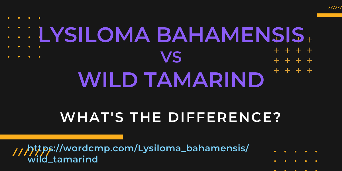 Difference between Lysiloma bahamensis and wild tamarind