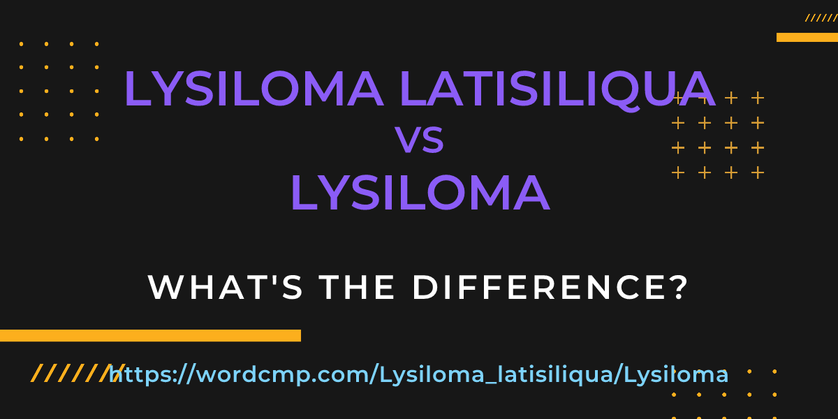 Difference between Lysiloma latisiliqua and Lysiloma
