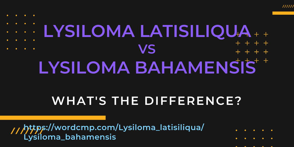 Difference between Lysiloma latisiliqua and Lysiloma bahamensis