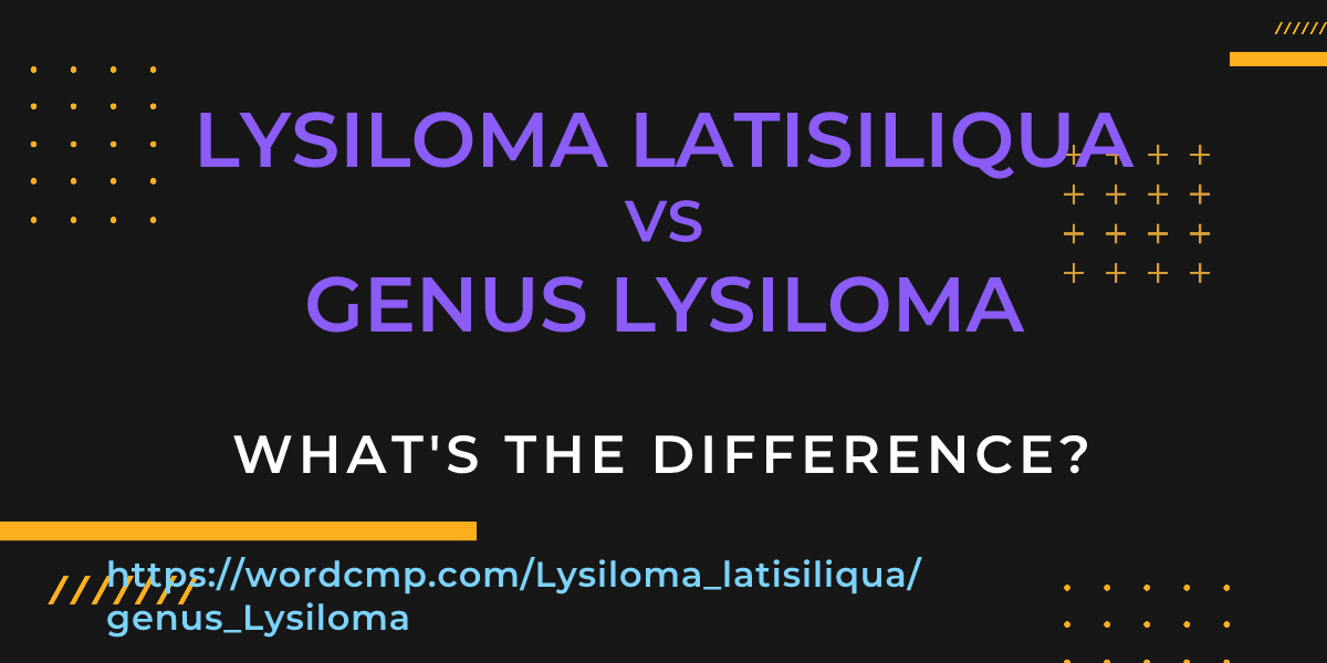 Difference between Lysiloma latisiliqua and genus Lysiloma