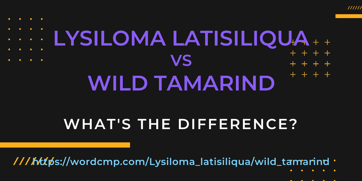 Difference between Lysiloma latisiliqua and wild tamarind