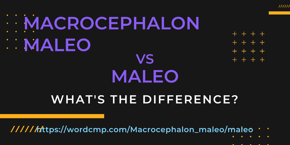 Difference between Macrocephalon maleo and maleo