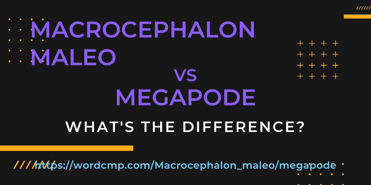 Difference between Macrocephalon maleo and megapode