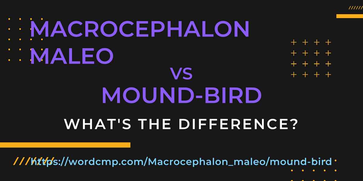 Difference between Macrocephalon maleo and mound-bird