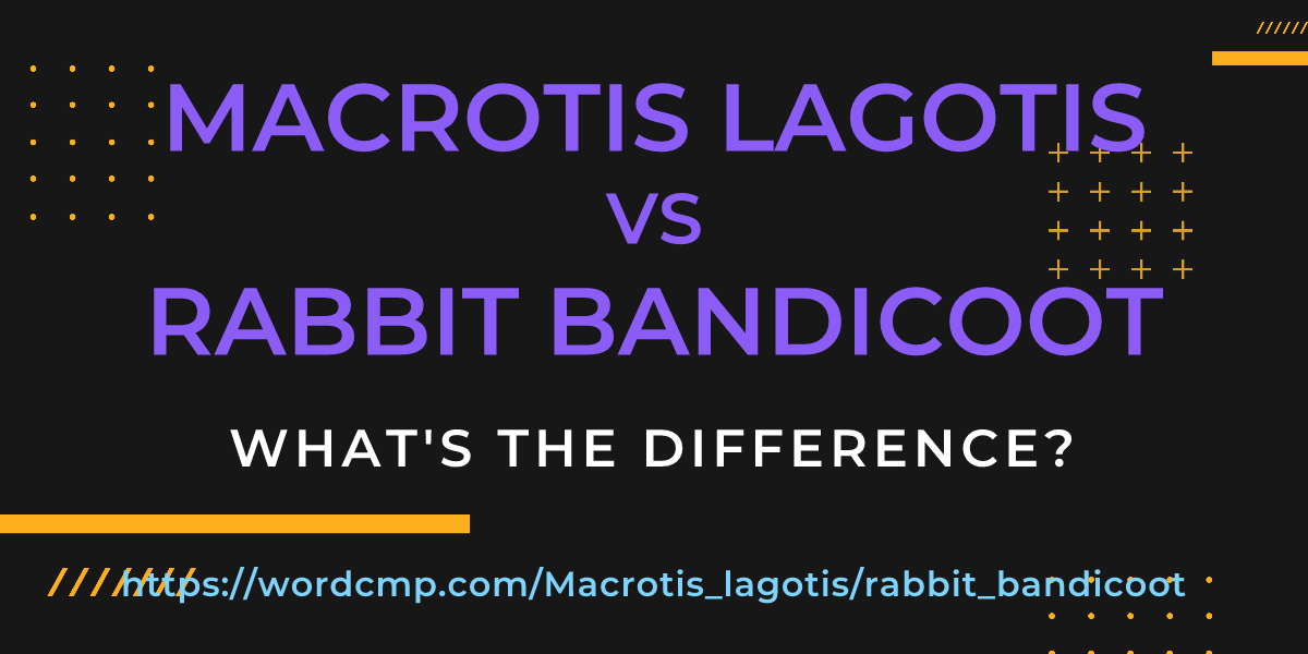 Difference between Macrotis lagotis and rabbit bandicoot