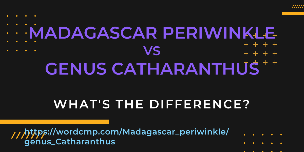 Difference between Madagascar periwinkle and genus Catharanthus