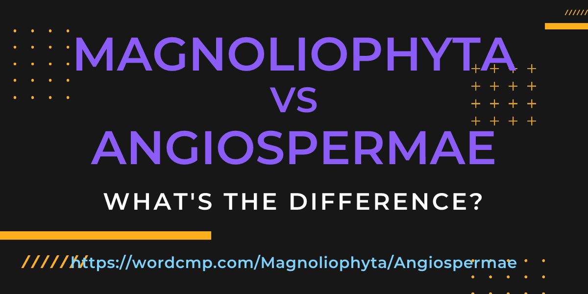 Difference between Magnoliophyta and Angiospermae