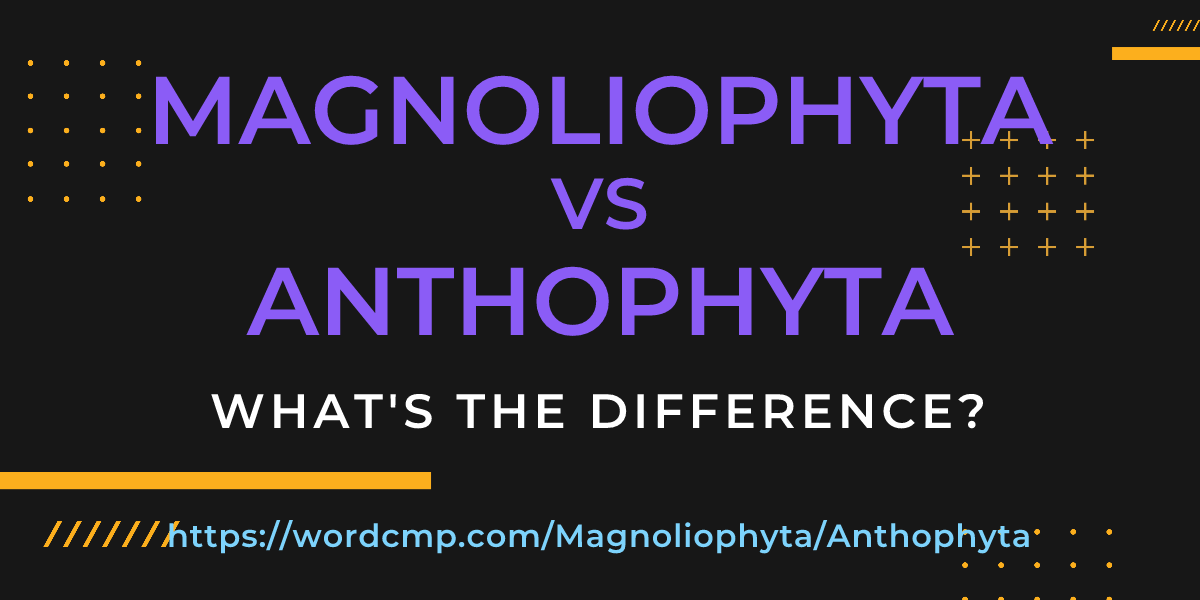 Difference between Magnoliophyta and Anthophyta