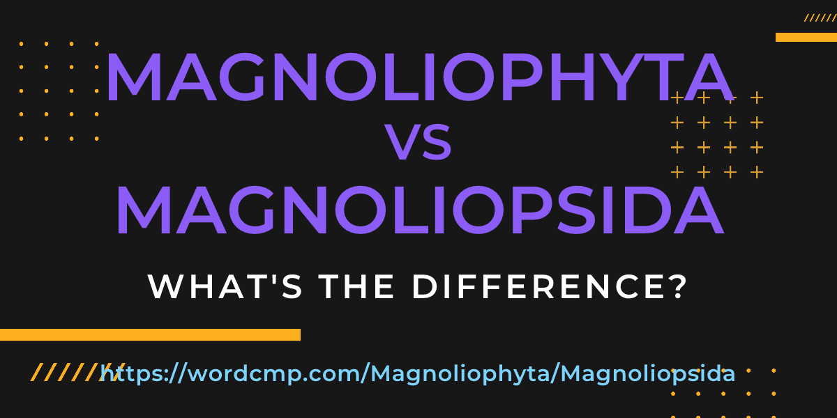 Difference between Magnoliophyta and Magnoliopsida