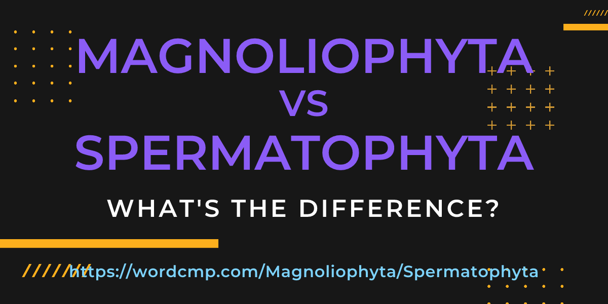 Difference between Magnoliophyta and Spermatophyta