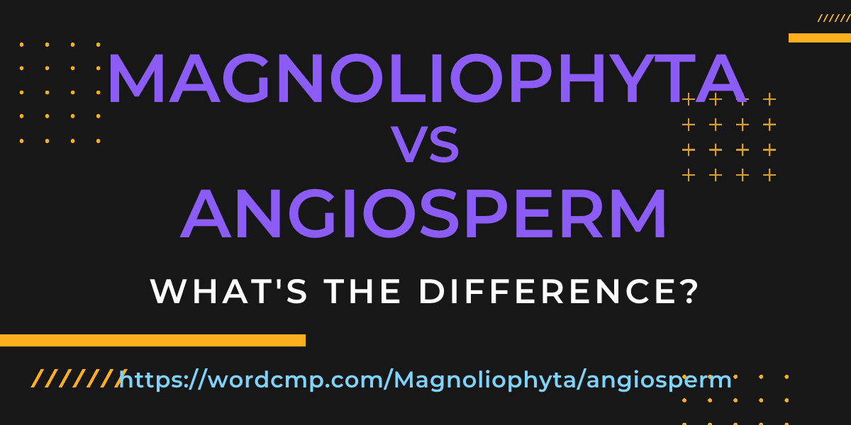 Difference between Magnoliophyta and angiosperm