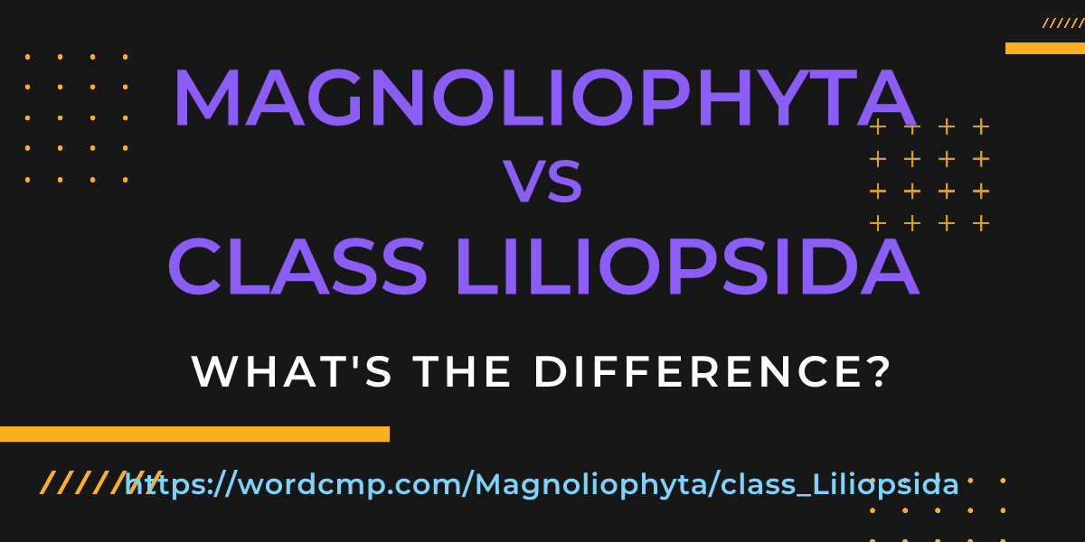 Difference between Magnoliophyta and class Liliopsida