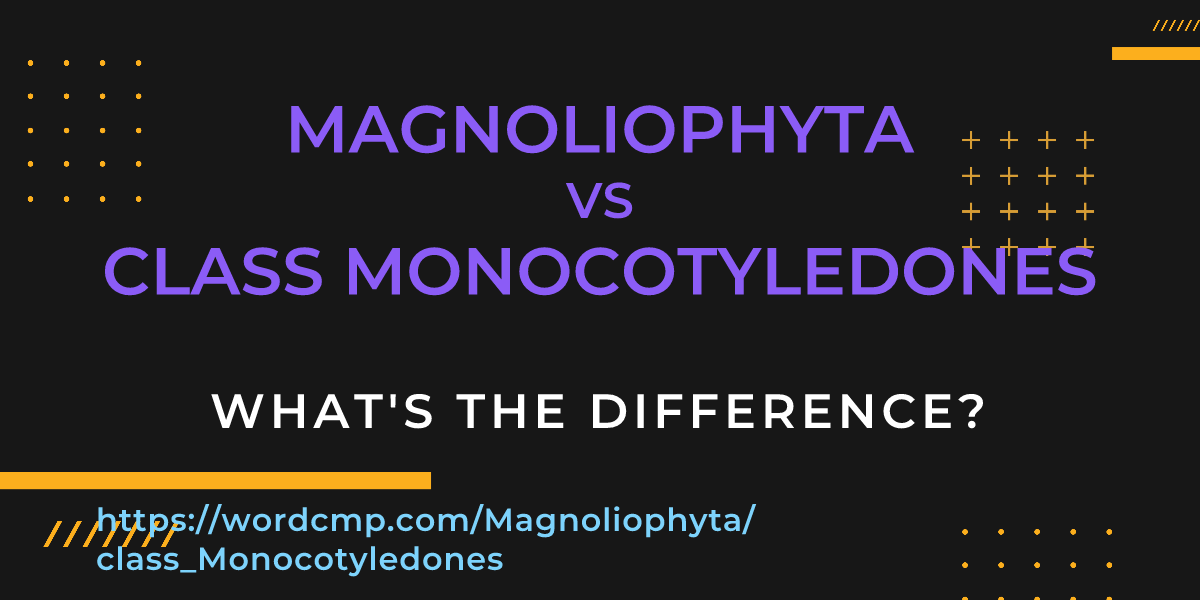 Difference between Magnoliophyta and class Monocotyledones