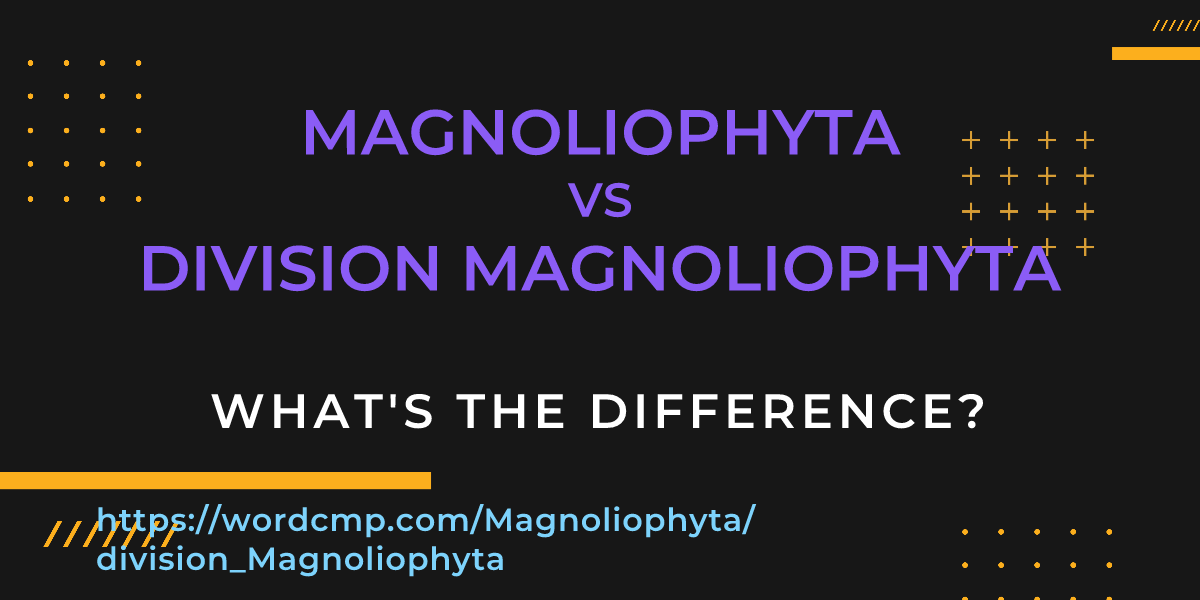 Difference between Magnoliophyta and division Magnoliophyta