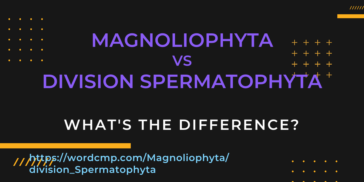 Difference between Magnoliophyta and division Spermatophyta