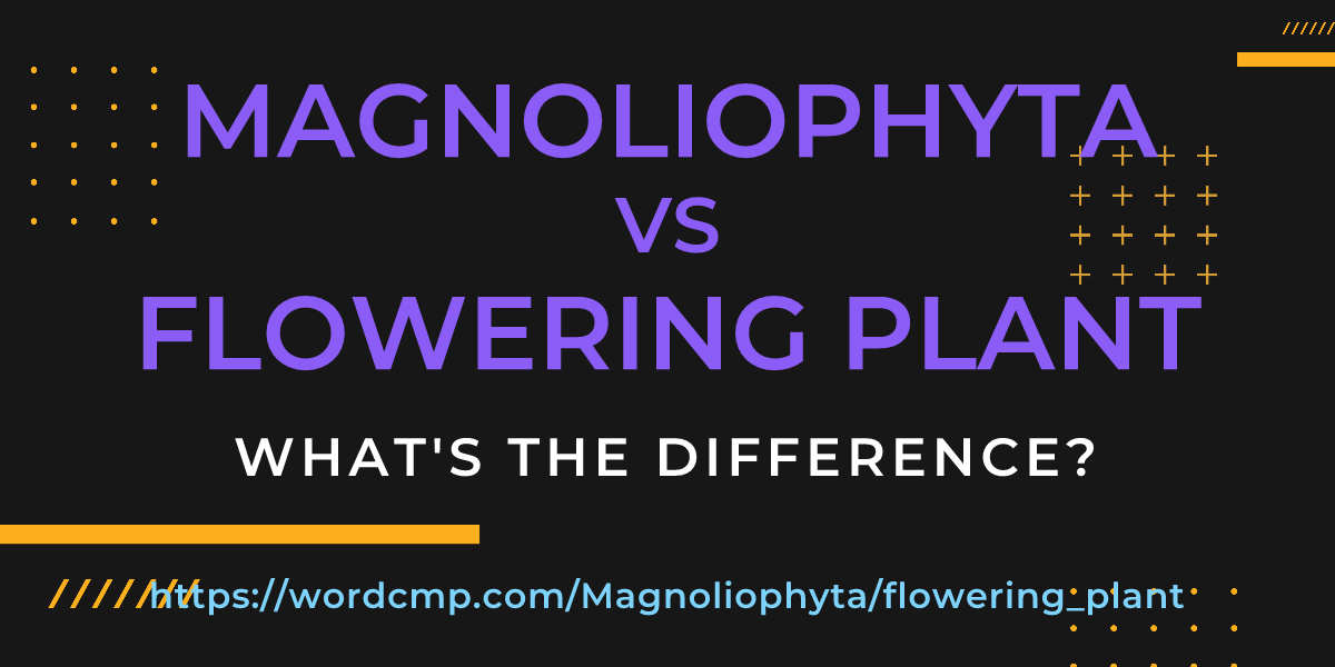 Difference between Magnoliophyta and flowering plant