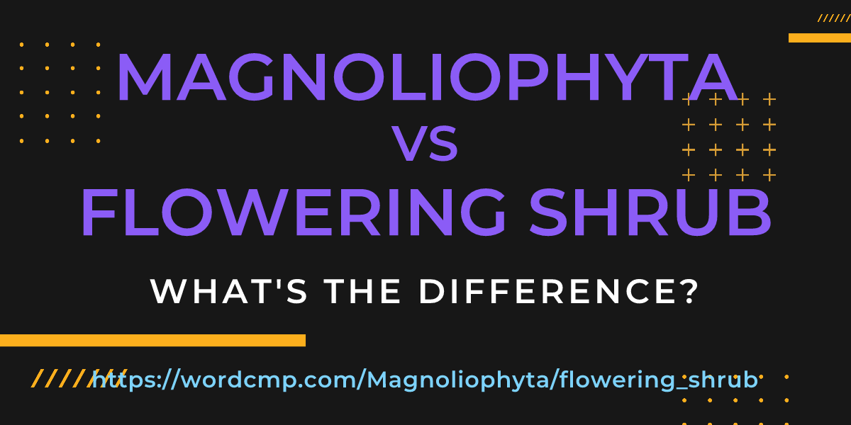Difference between Magnoliophyta and flowering shrub