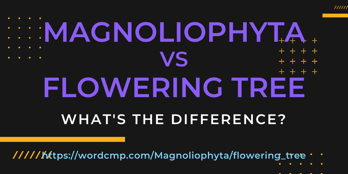 Difference between Magnoliophyta and flowering tree