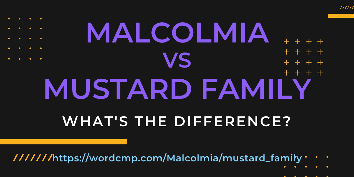 Difference between Malcolmia and mustard family