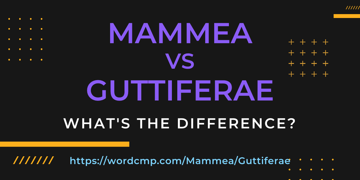 Difference between Mammea and Guttiferae