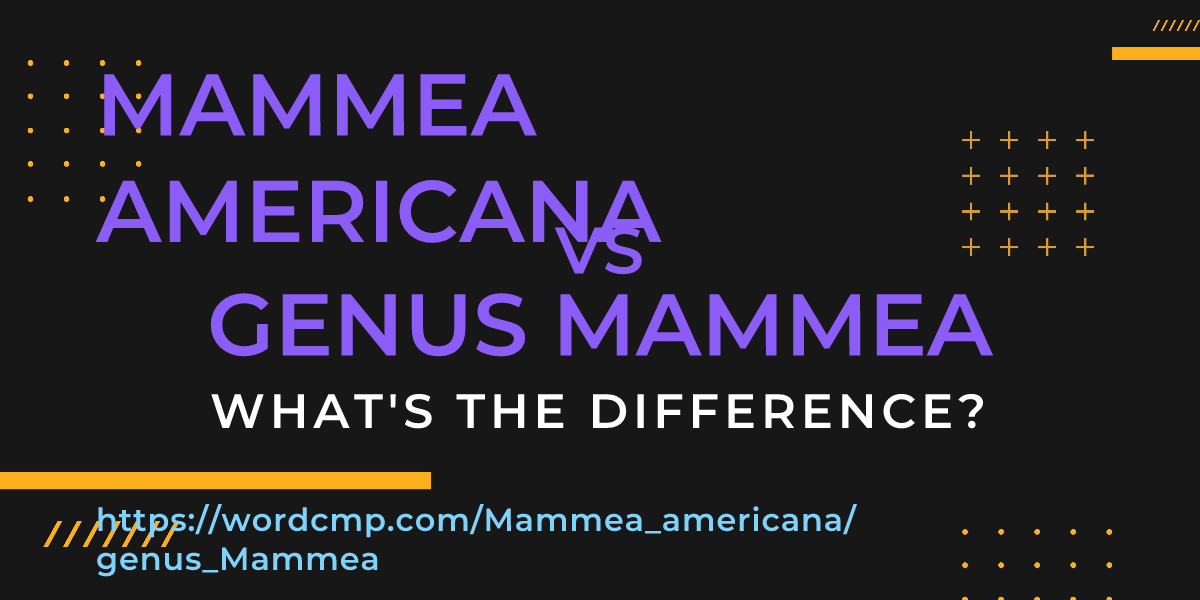 Difference between Mammea americana and genus Mammea