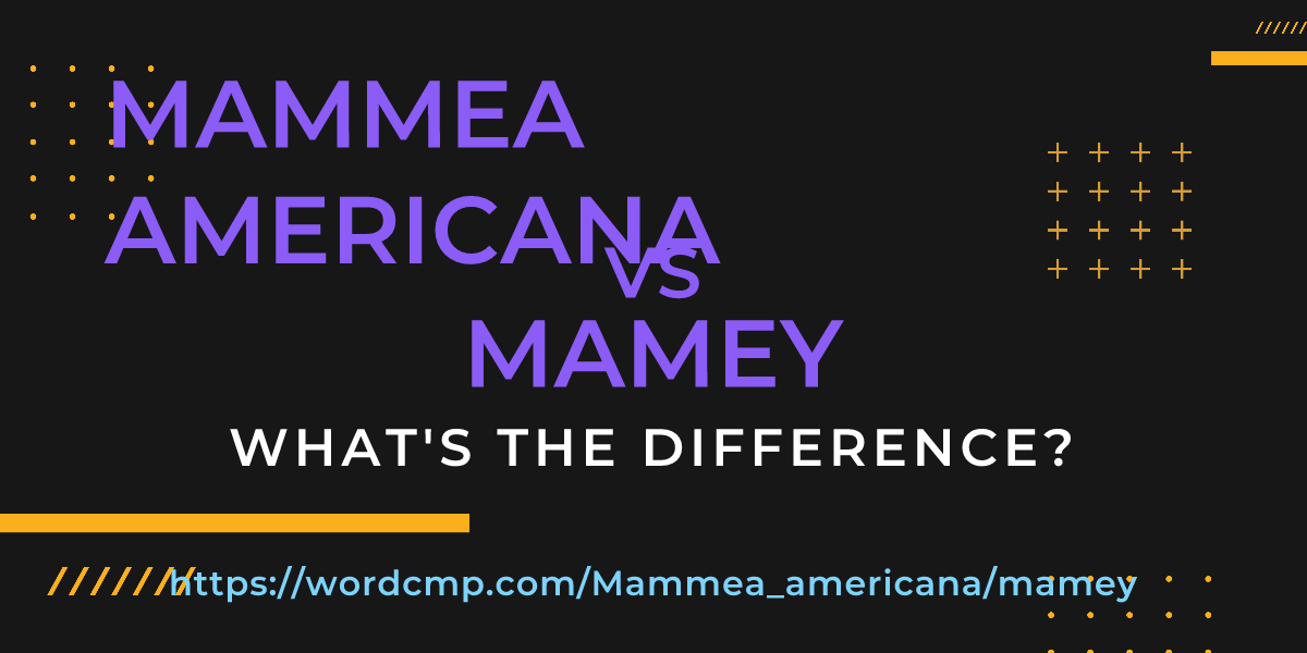 Difference between Mammea americana and mamey