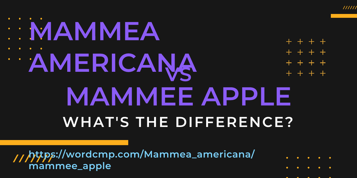 Difference between Mammea americana and mammee apple