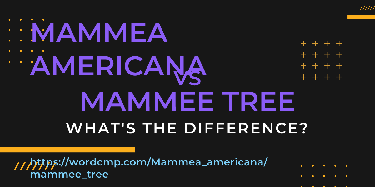 Difference between Mammea americana and mammee tree