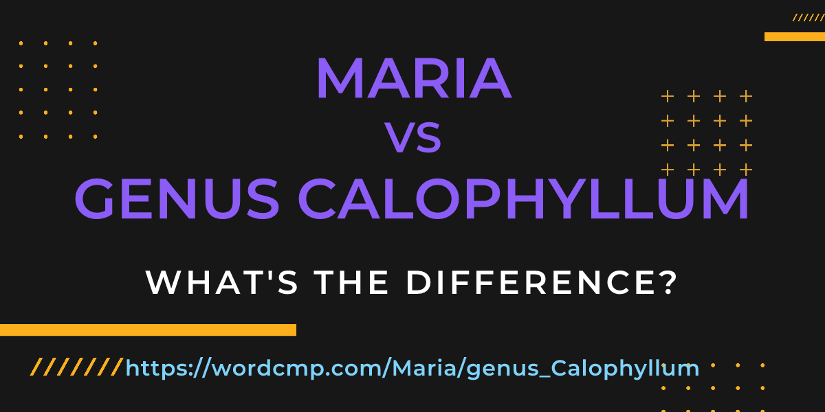 Difference between Maria and genus Calophyllum