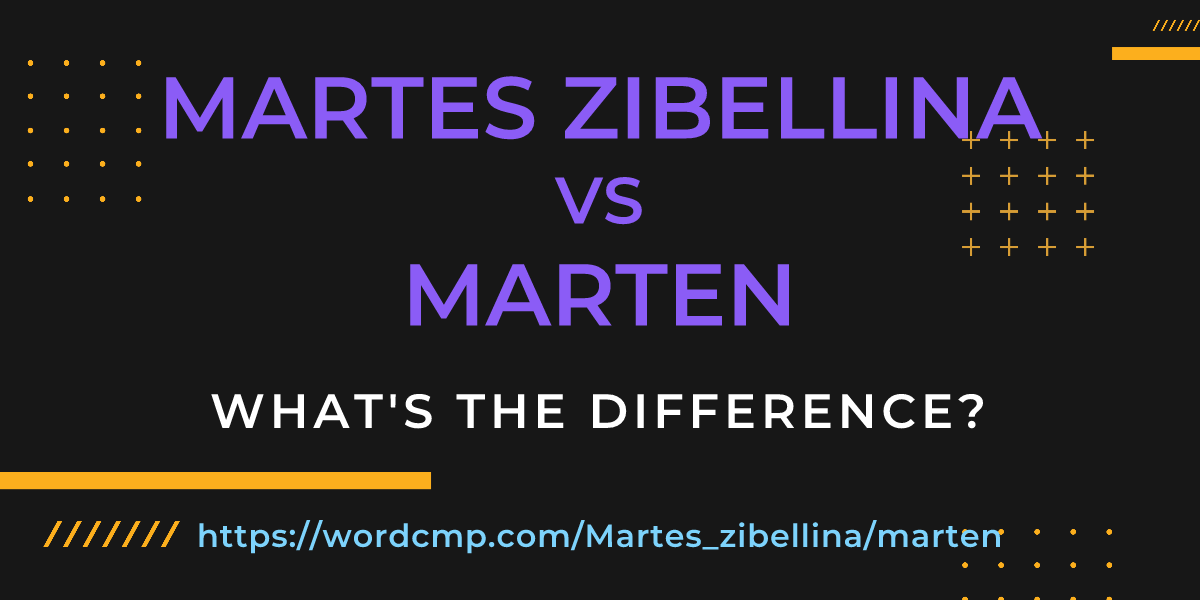 Difference between Martes zibellina and marten