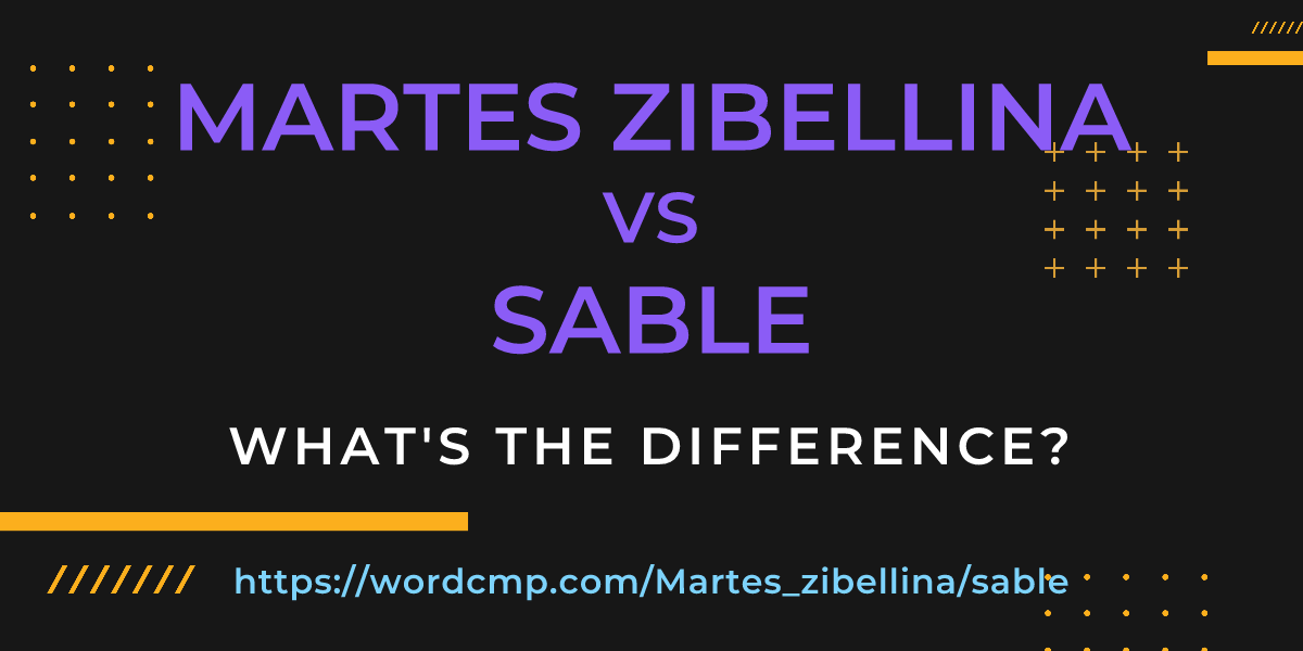 Difference between Martes zibellina and sable