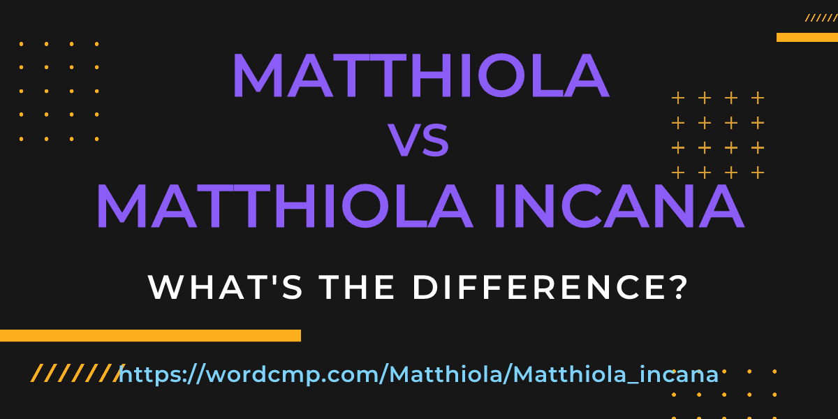 Difference between Matthiola and Matthiola incana