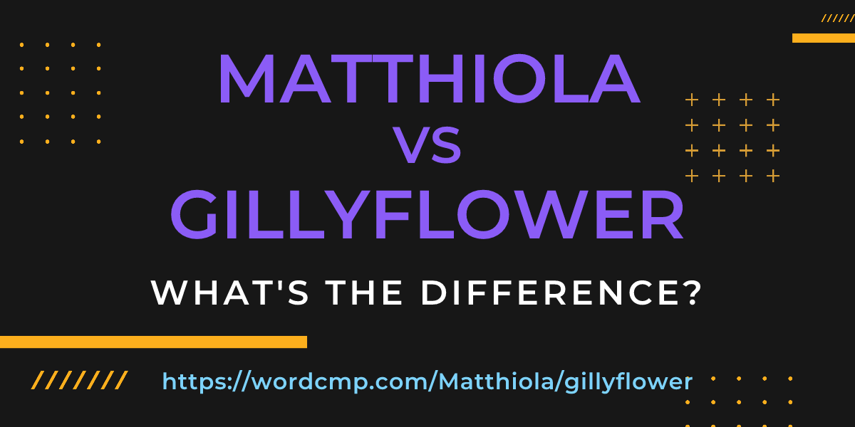Difference between Matthiola and gillyflower
