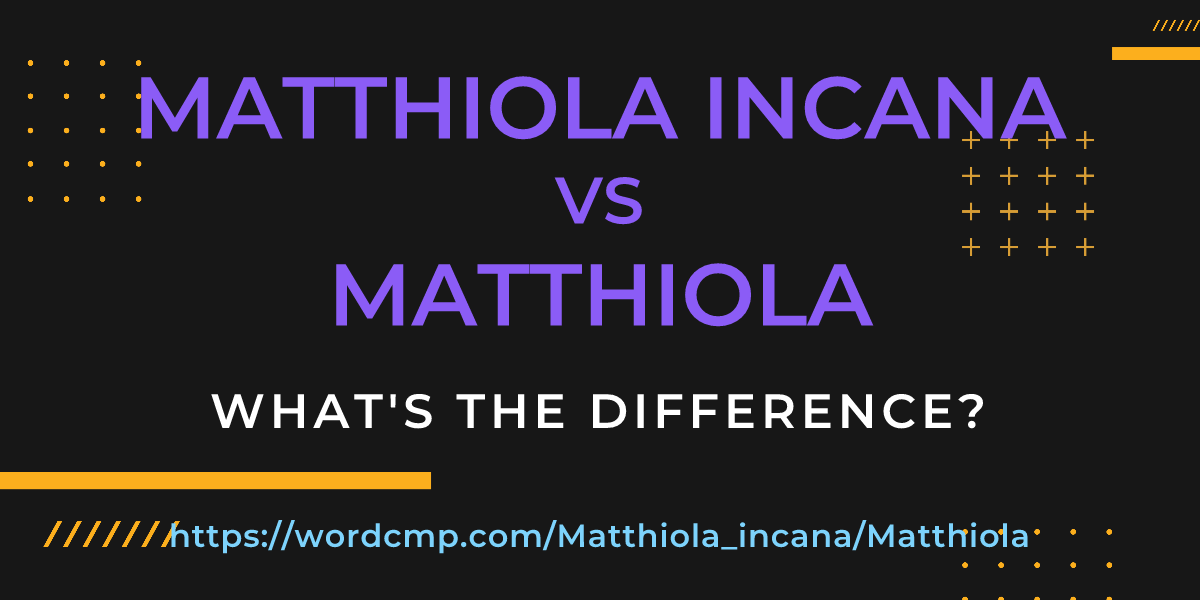 Difference between Matthiola incana and Matthiola