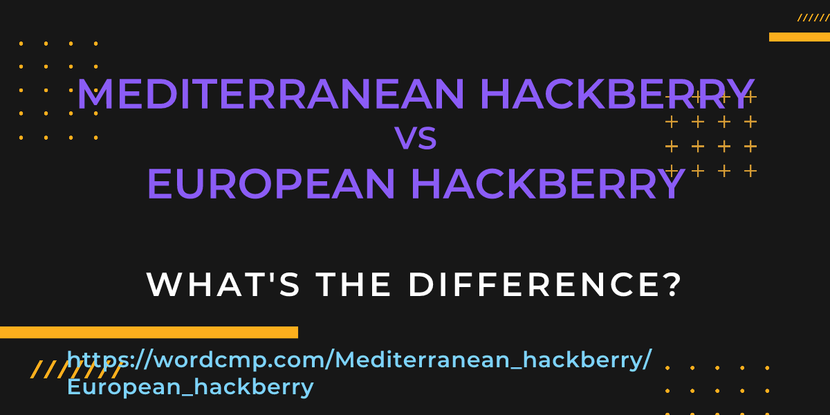 Difference between Mediterranean hackberry and European hackberry