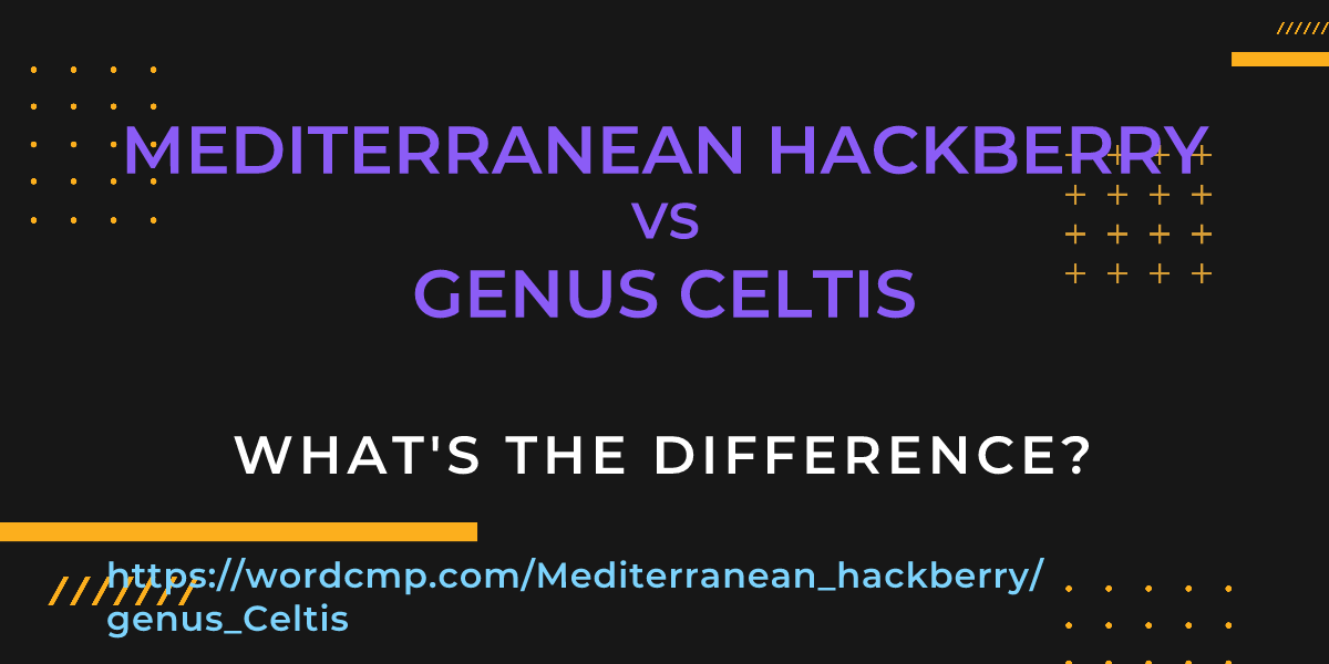 Difference between Mediterranean hackberry and genus Celtis