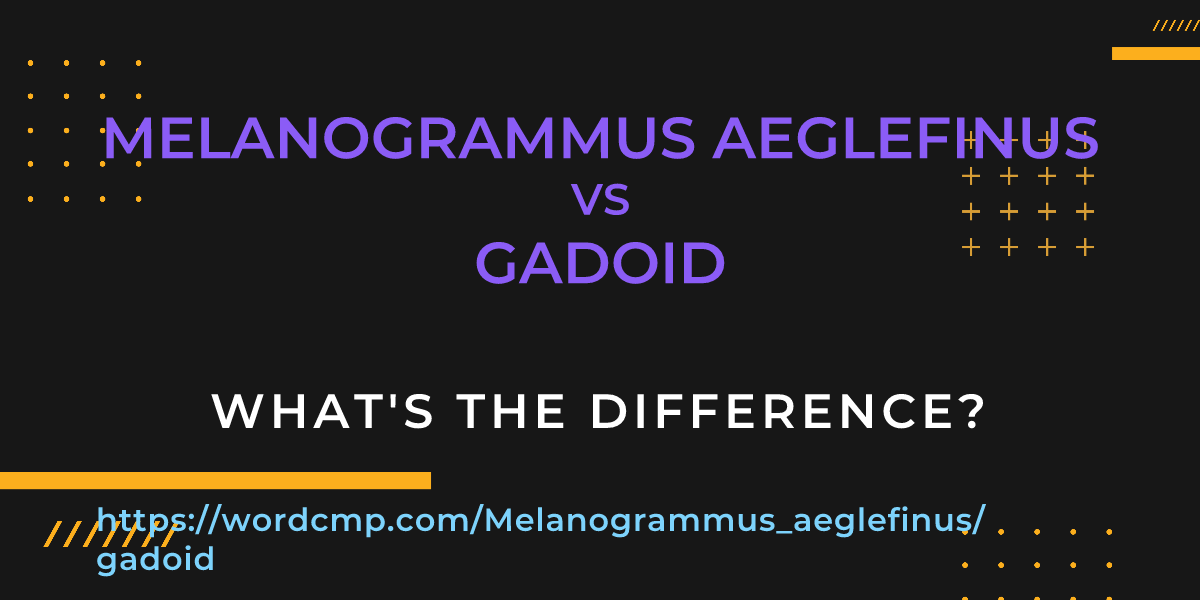 Difference between Melanogrammus aeglefinus and gadoid