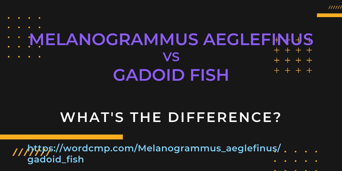 Difference between Melanogrammus aeglefinus and gadoid fish