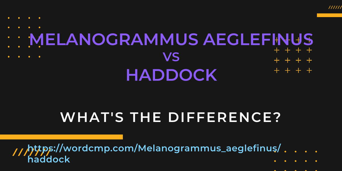 Difference between Melanogrammus aeglefinus and haddock