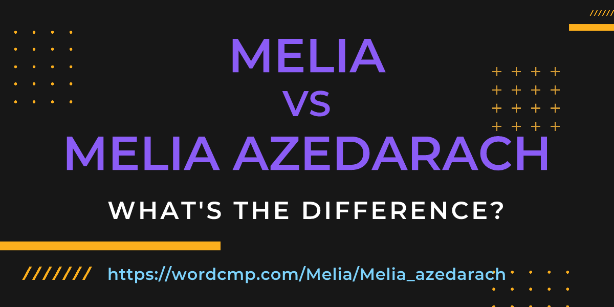 Difference between Melia and Melia azedarach