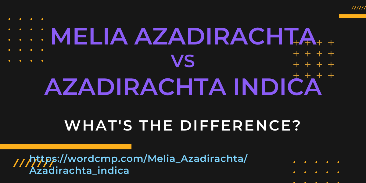 Difference between Melia Azadirachta and Azadirachta indica