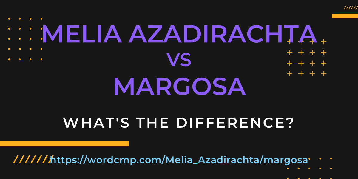 Difference between Melia Azadirachta and margosa