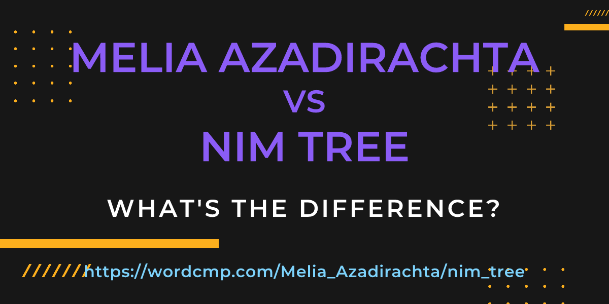 Difference between Melia Azadirachta and nim tree